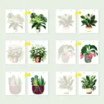 59975-Paint-by-numbers-Diamond-Painting-webp